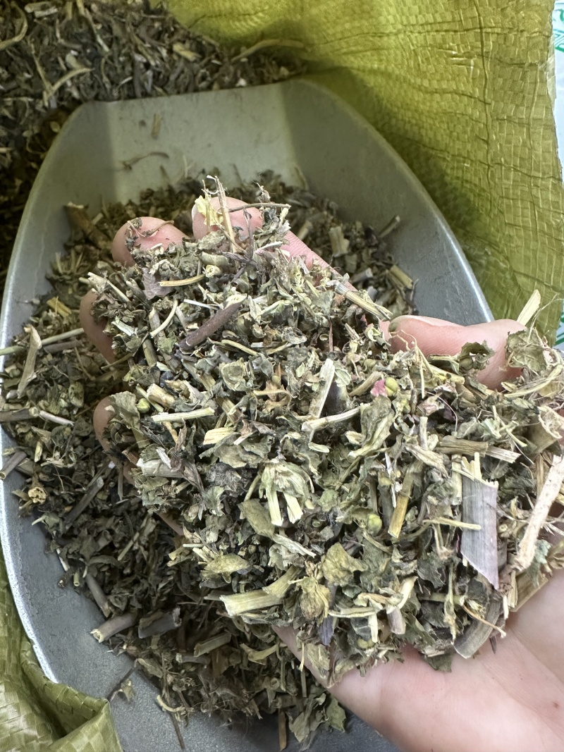 泽漆批发优质泽漆产地一首货源规格齐全量大价优