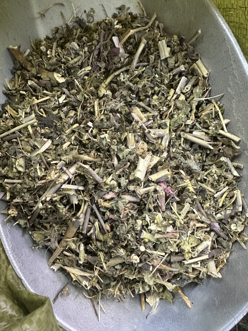 泽漆批发优质泽漆产地一首货源规格齐全量大价优