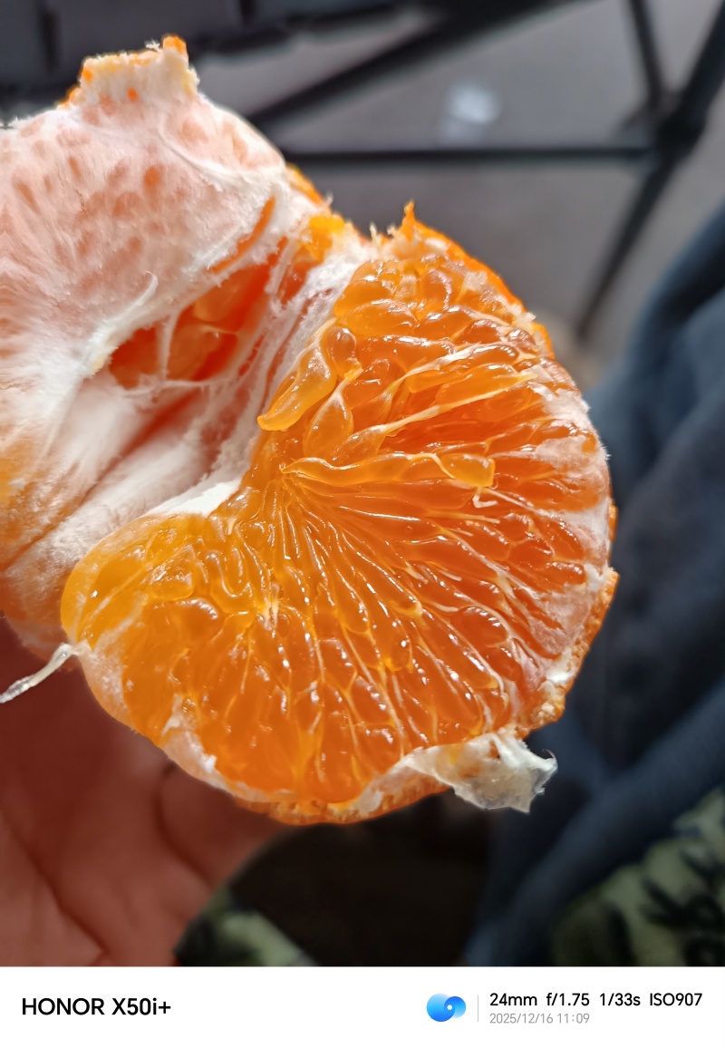 柑平，柑橘皇后，纯甜蜜味，果味特产浓。