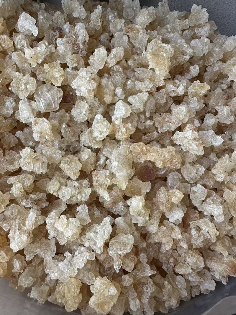 血燕批发优质血燕产地一首货源规格齐全量大价优