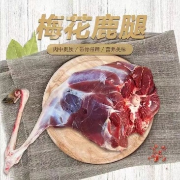鹿腿梅花鹿整支新鲜鹿腿鹿场供应全国发货鹿肉