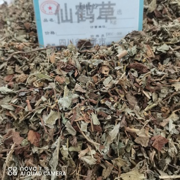 仙鹤草中药材仙鹤草切断规格齐全量大从优