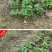 农用小拱棚支架拱竿蔬菜保温棚菜棚杆遮阳防虫网架子玻璃