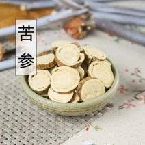 苦参中药材苦参批发无硫苦参根片中药材