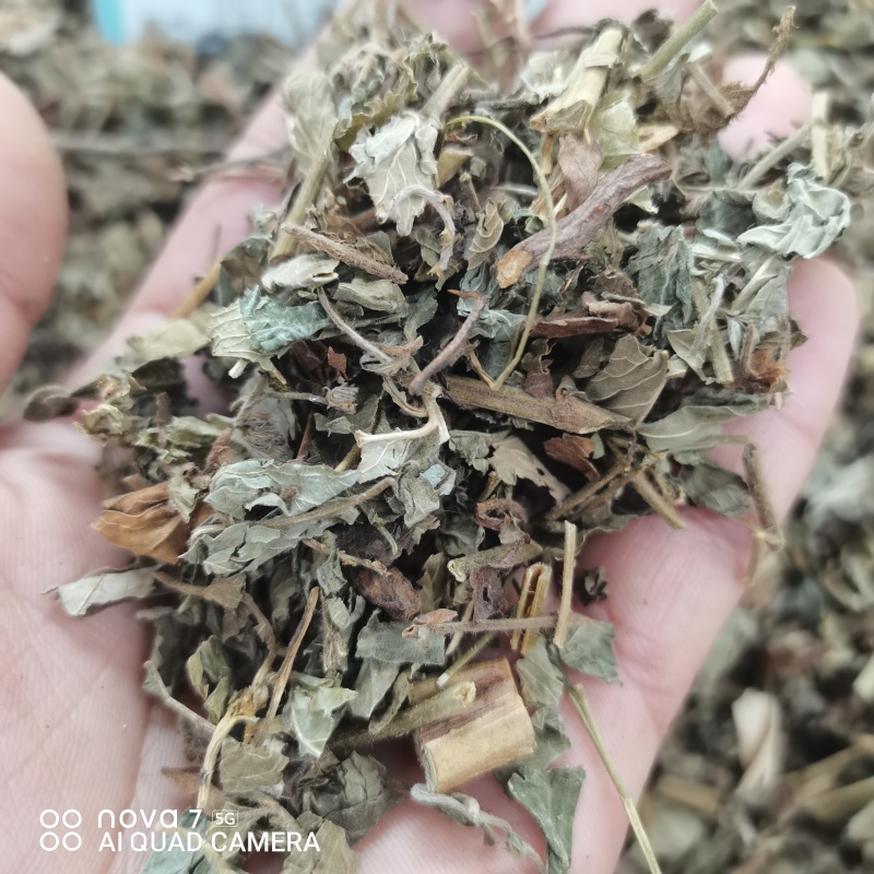 仙鹤草中药材仙鹤草切断规格齐全量大从优