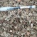 仙鹤草中药材仙鹤草切断规格齐全量大从优