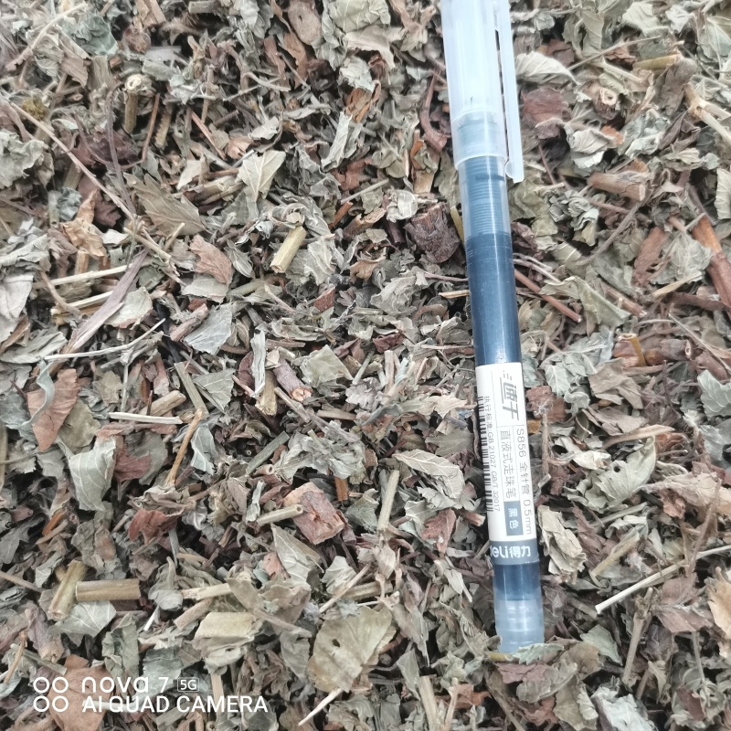 仙鹤草中药材仙鹤草切断规格齐全量大从优