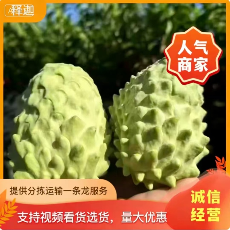 释迦果/四川攀枝花凤梨释迦果大量上市/对接全国采购商
