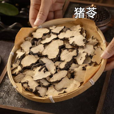 猪苓中药材正宗猪苓精选大片朱苓片新货猪苓精选药材