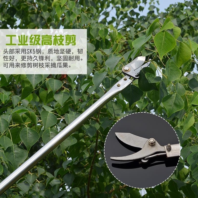 新品高枝剪修枝剪不锈钢剪刀修剪园林疏花稀果剪枝高空剪