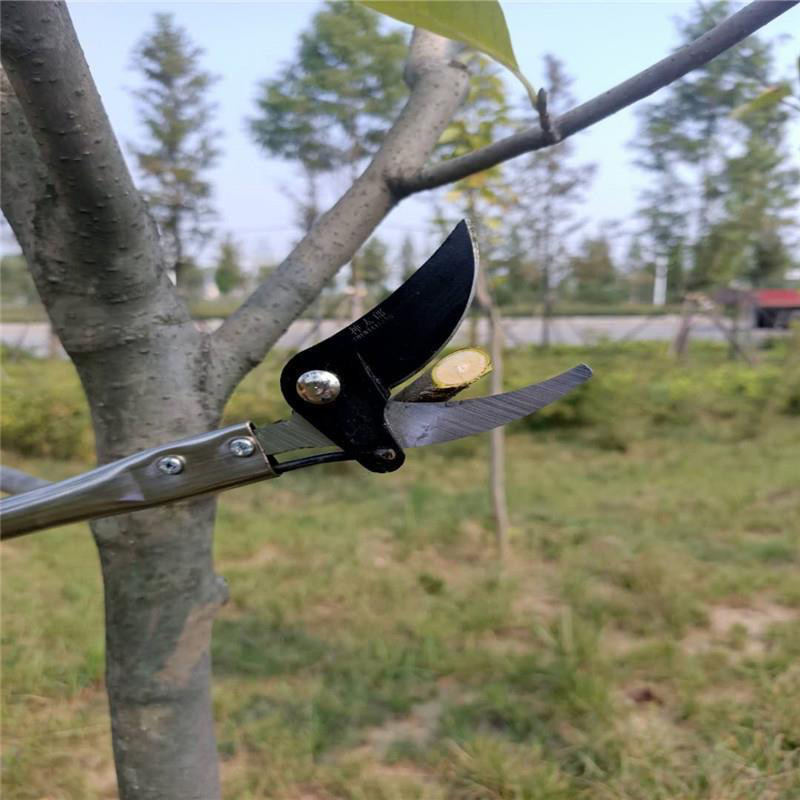 新品高枝剪修枝剪不锈钢剪刀修剪园林疏花稀果剪枝高空剪