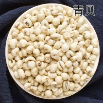 青贝中药材正宗川贝母青贝正品无硫无熏染