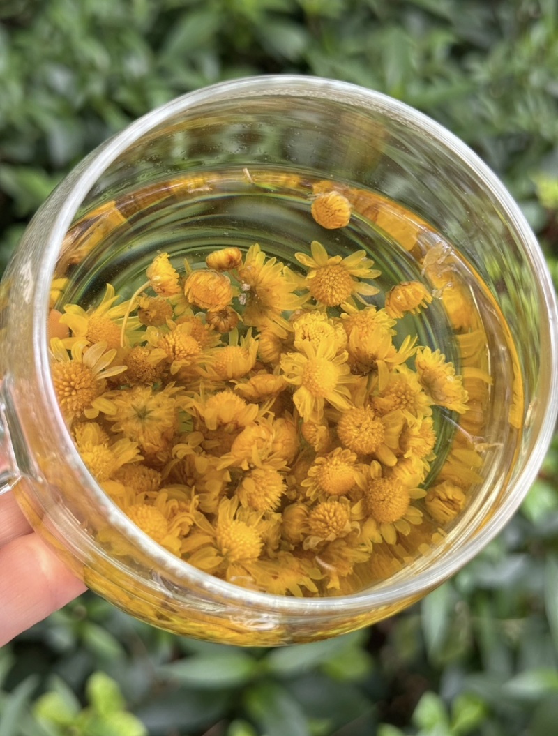 四川野菊花干货优质野菊花自然晾晒长期供应欢迎选购包邮到家