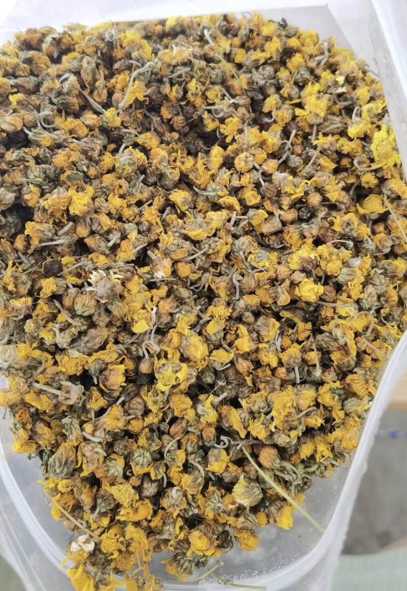 四川野菊花干货优质野菊花自然晾晒长期供应欢迎选购包邮到家