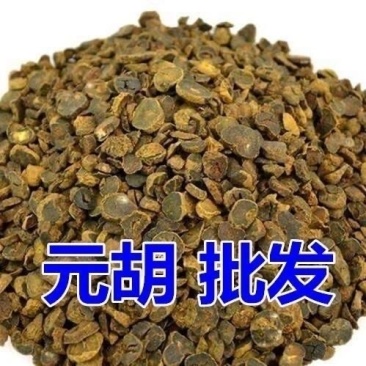 元胡中药材中药元胡精选切片中药材