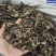 中药材野生升麻窟窿芽根苦老芽根绿升麻正品