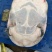 外塘淘汰老种鱼生态养殖喂海鱼纯生态