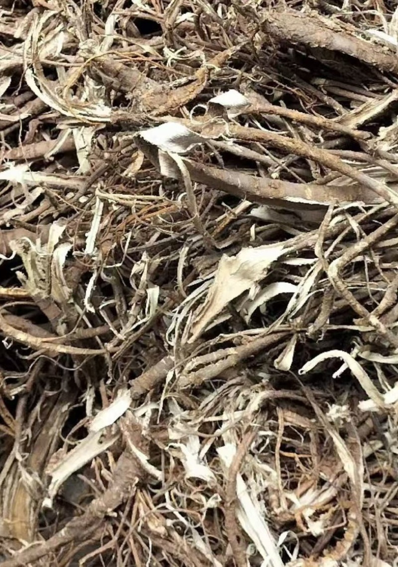 桑皮地道药效真量大从优诚相待！