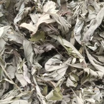 道地艾叶产地直供，温经散寒品质优，批发价更省！