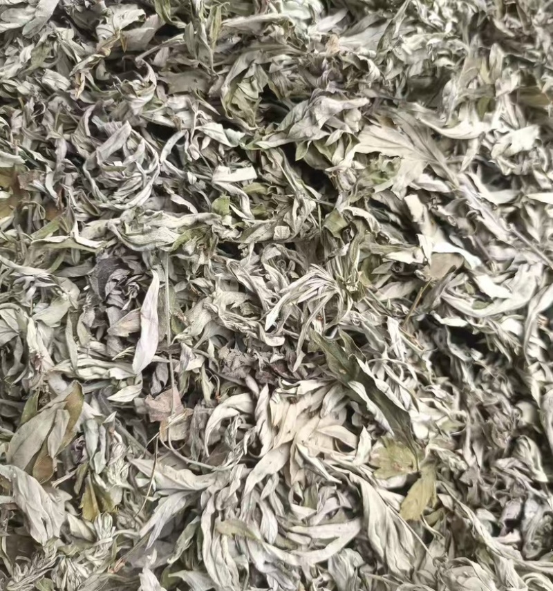 道地艾叶产地直供，温经散寒品质优，批发价更省！