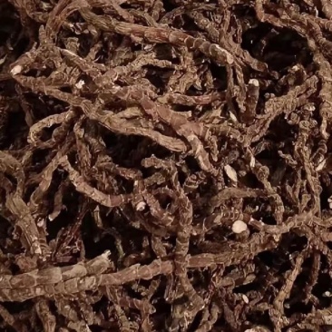道地石菖蒲产地直供，开窍醒神品质纯，批发价更优！