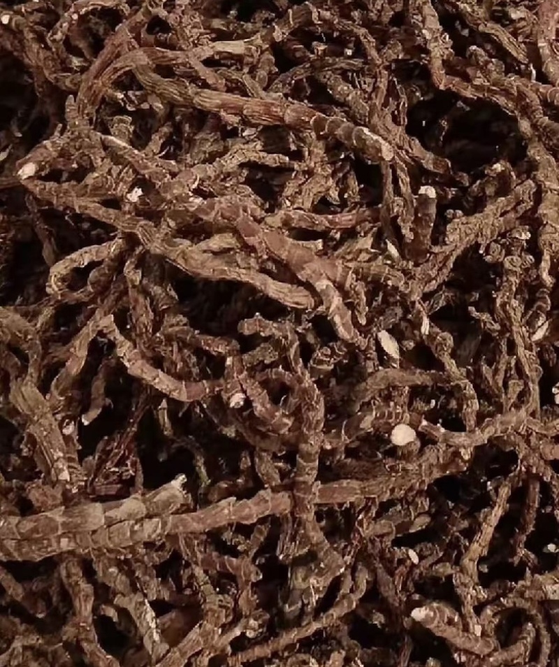 道地石菖蒲产地直供，开窍醒神品质纯，批发价更优！