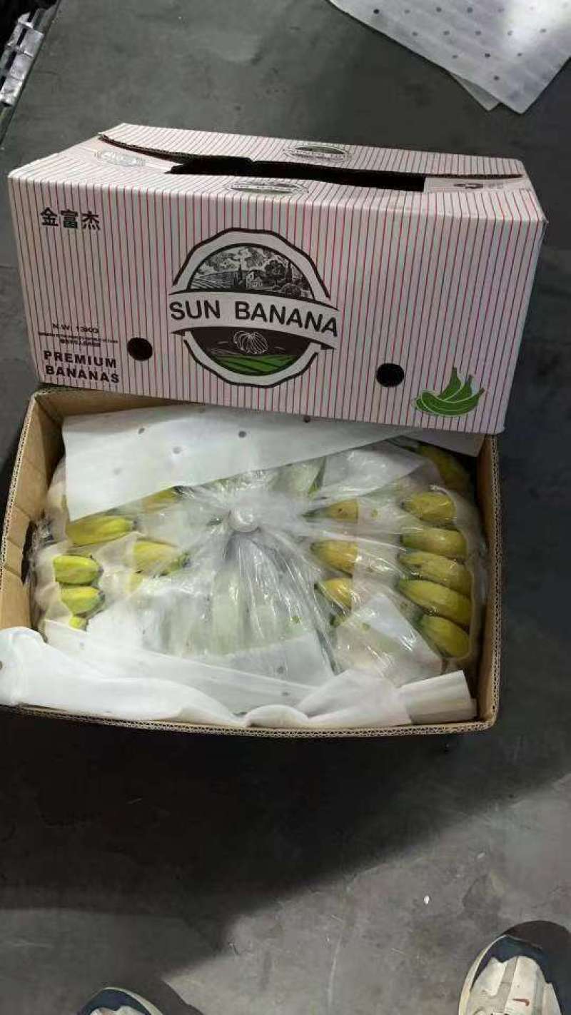 二级蕉