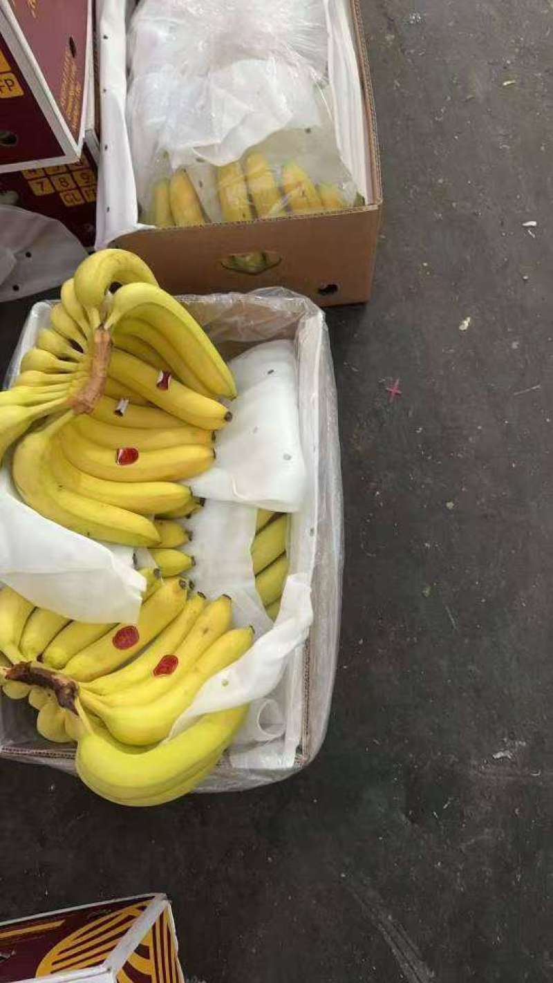 二级蕉