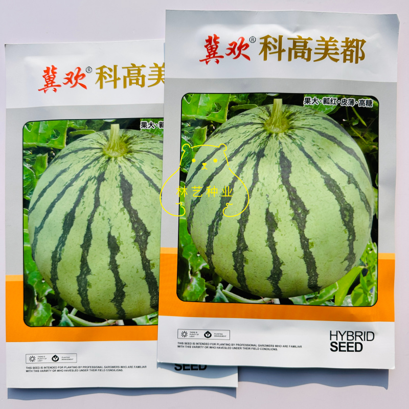 科高美都西瓜种子抗病高产糖度高农家大田基地种植