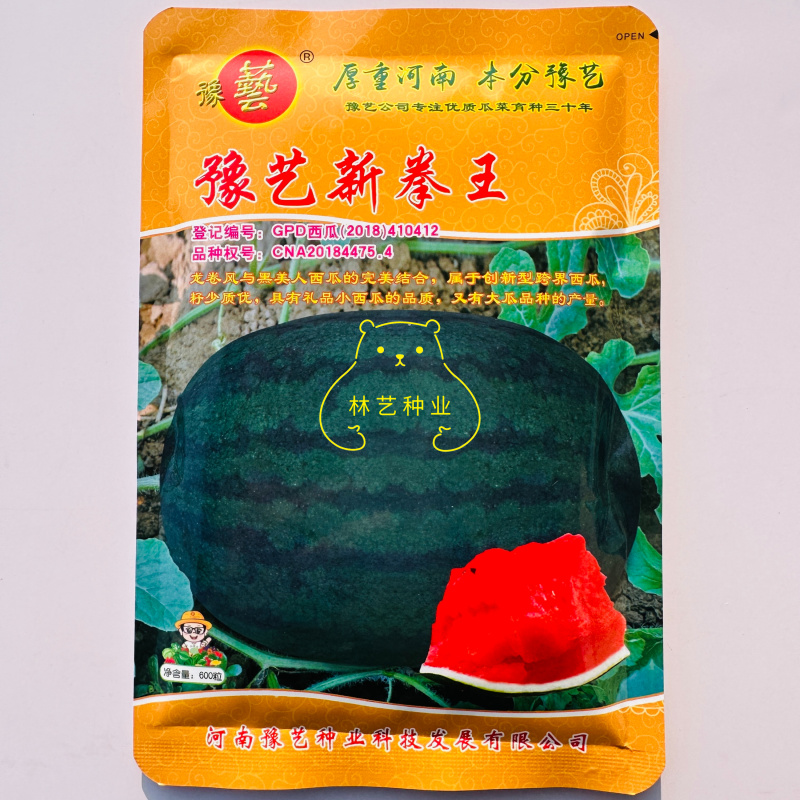 豫艺新拳王西瓜种子龙卷风黑美人大果高产抗重茬黑绿皮西瓜种