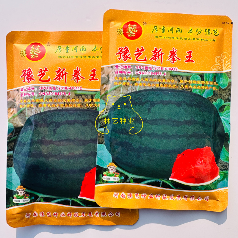 豫艺新拳王西瓜种子龙卷风黑美人大果高产抗重茬黑绿皮西瓜种