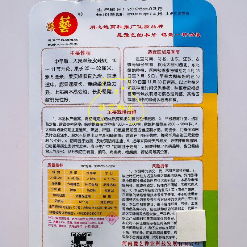 金富29辣椒种子中早熟大果翠绿皮牛角椒尖椒果型顺直光滑