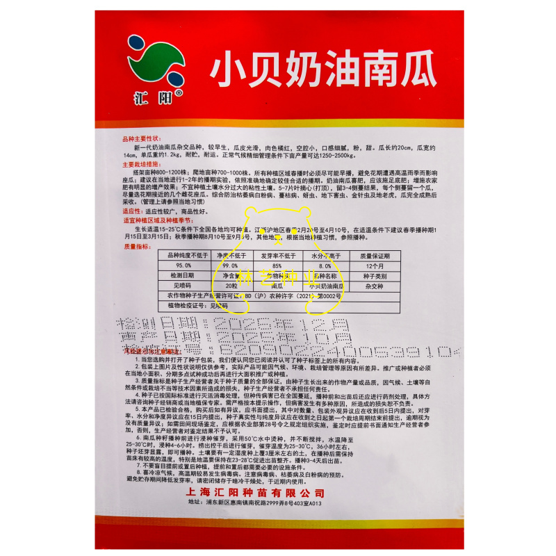 小贝奶油南瓜种子四季可种可盆栽家庭阳台小院高产