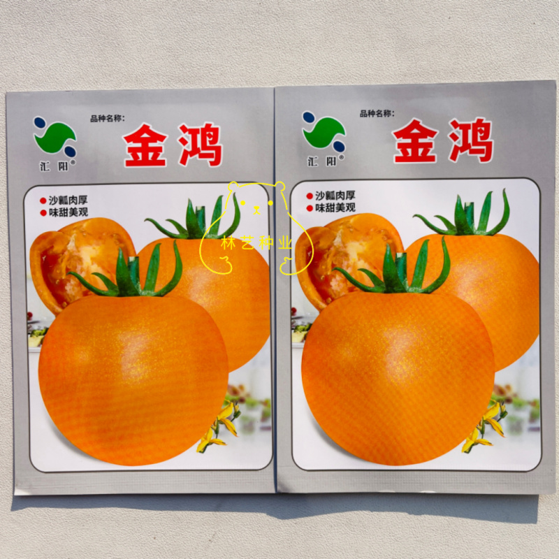 金鸿黄色小番茄种子小西红柿种籽无限生长樱桃番茄春季蔬