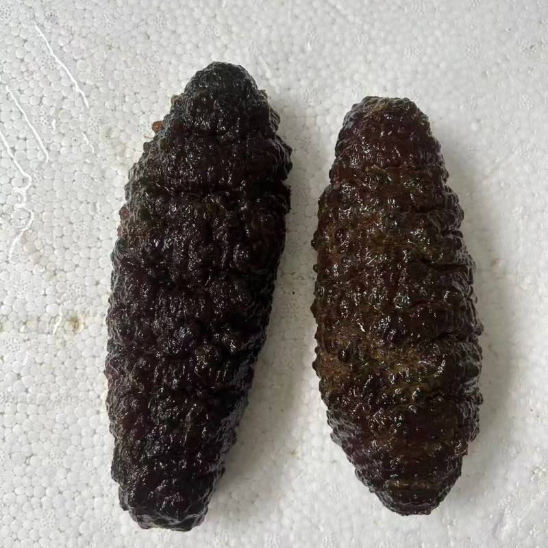 乌枣参，大乌参，乌靴参，南美靴参，乌仁参，鲍汁大乌参，一
