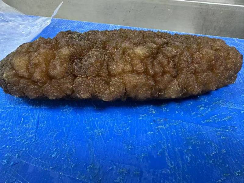 乌枣参，大乌参，乌靴参，南美靴参，乌仁参，鲍汁大乌参，一