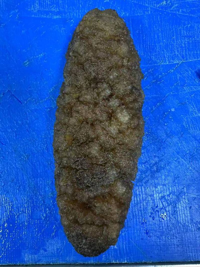 乌枣参，大乌参，乌靴参，南美靴参，乌仁参，鲍汁大乌参，一