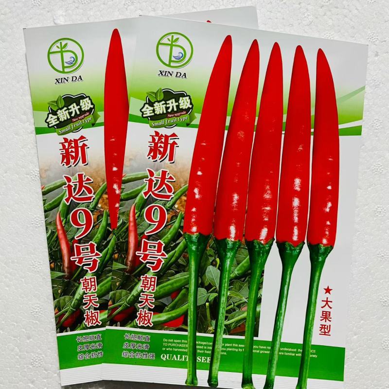 新达18号朝天椒小米椒种子中晚熟品种基地种子品种