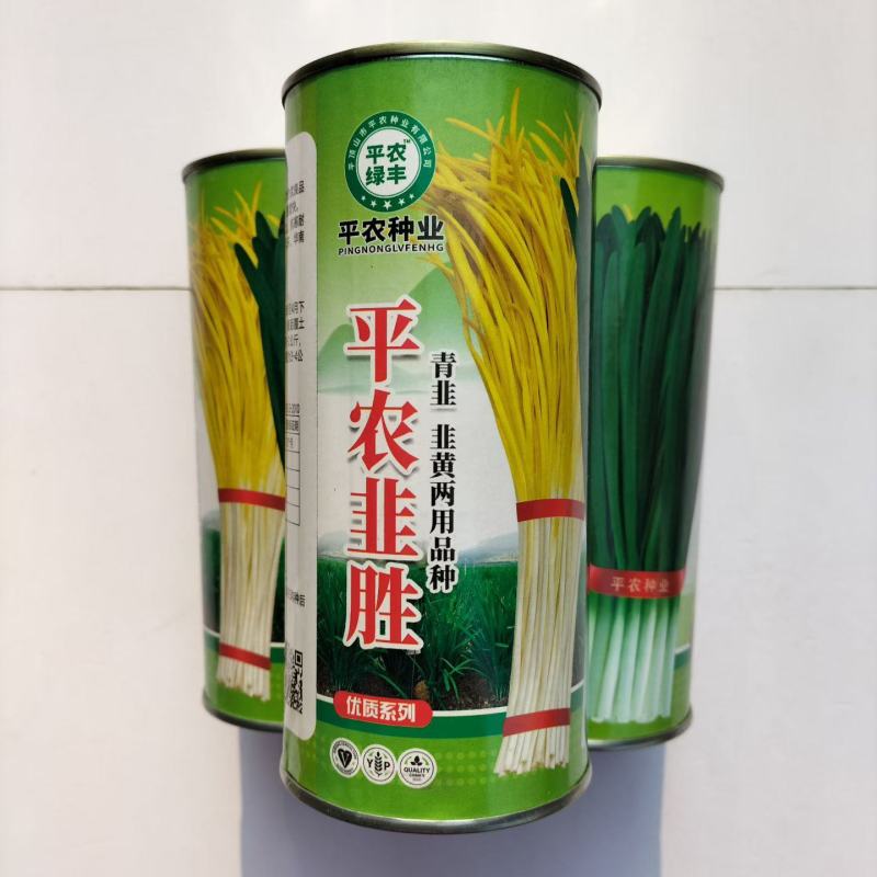 平龙韭胜多色彩兼用型韭菜种子耐热抗寒速生抗病高产韭黄青韭