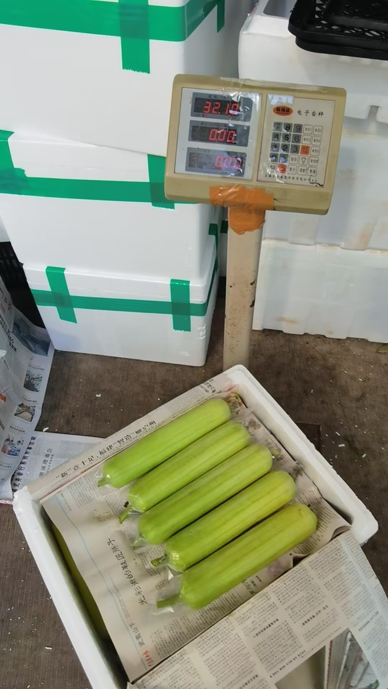好货推荐白玉丝瓜大量供应对接电商市场商超可视频
