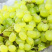棉花糖葡萄苗，口感如棉花糖，自然无核，抗病高产