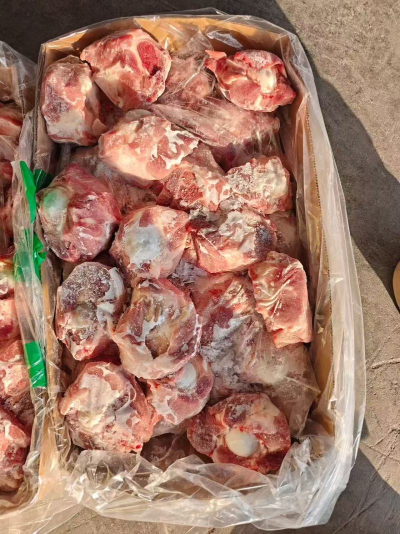 满肉猪圆骨