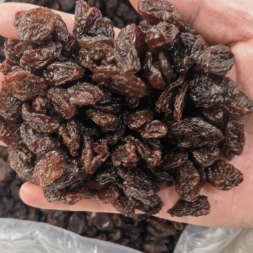 新疆红提子干葡萄干大量现货