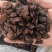 新疆红提子干葡萄干大量现货