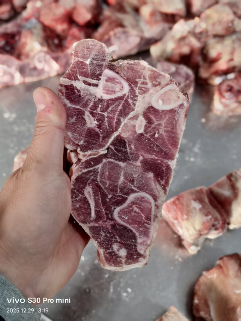 满肉腿骨块