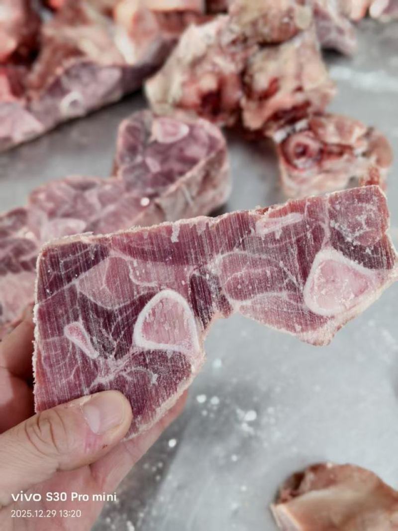 腿骨块