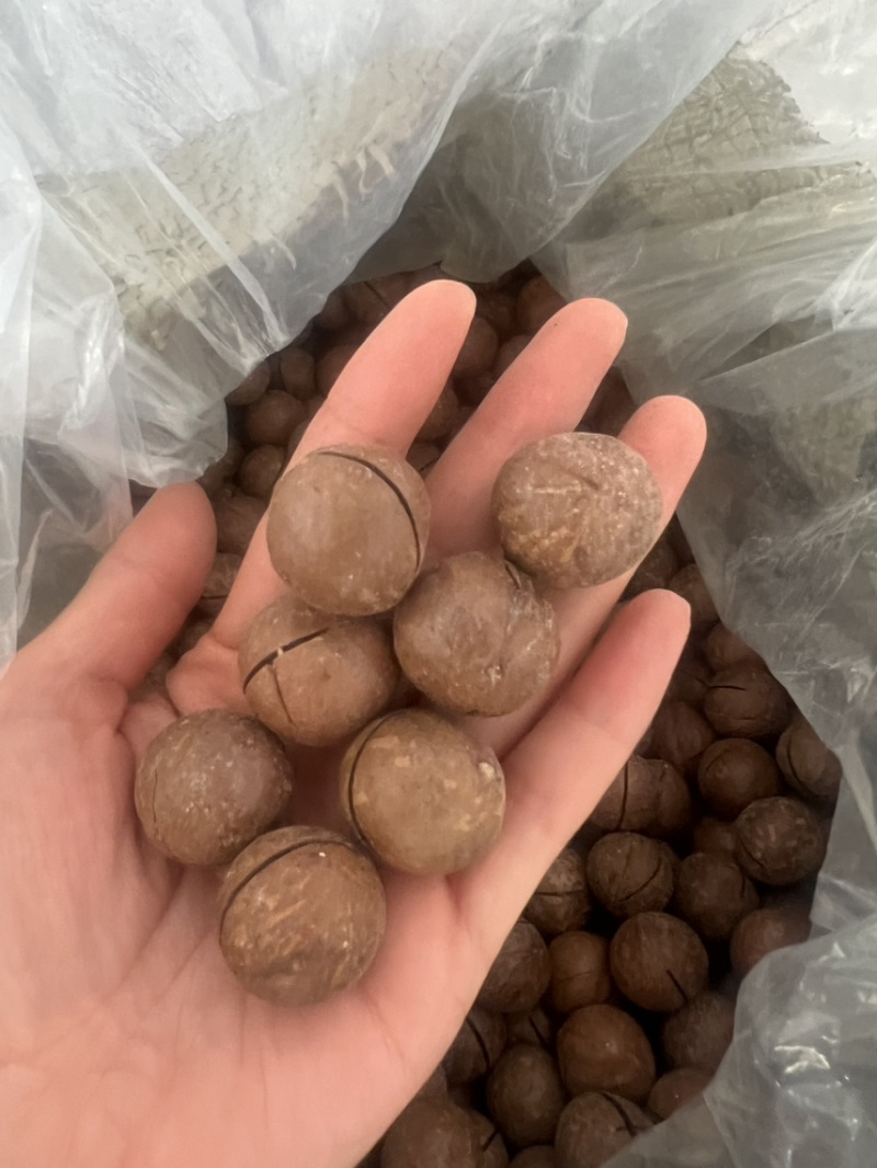夏威夷果奶香味电商好货