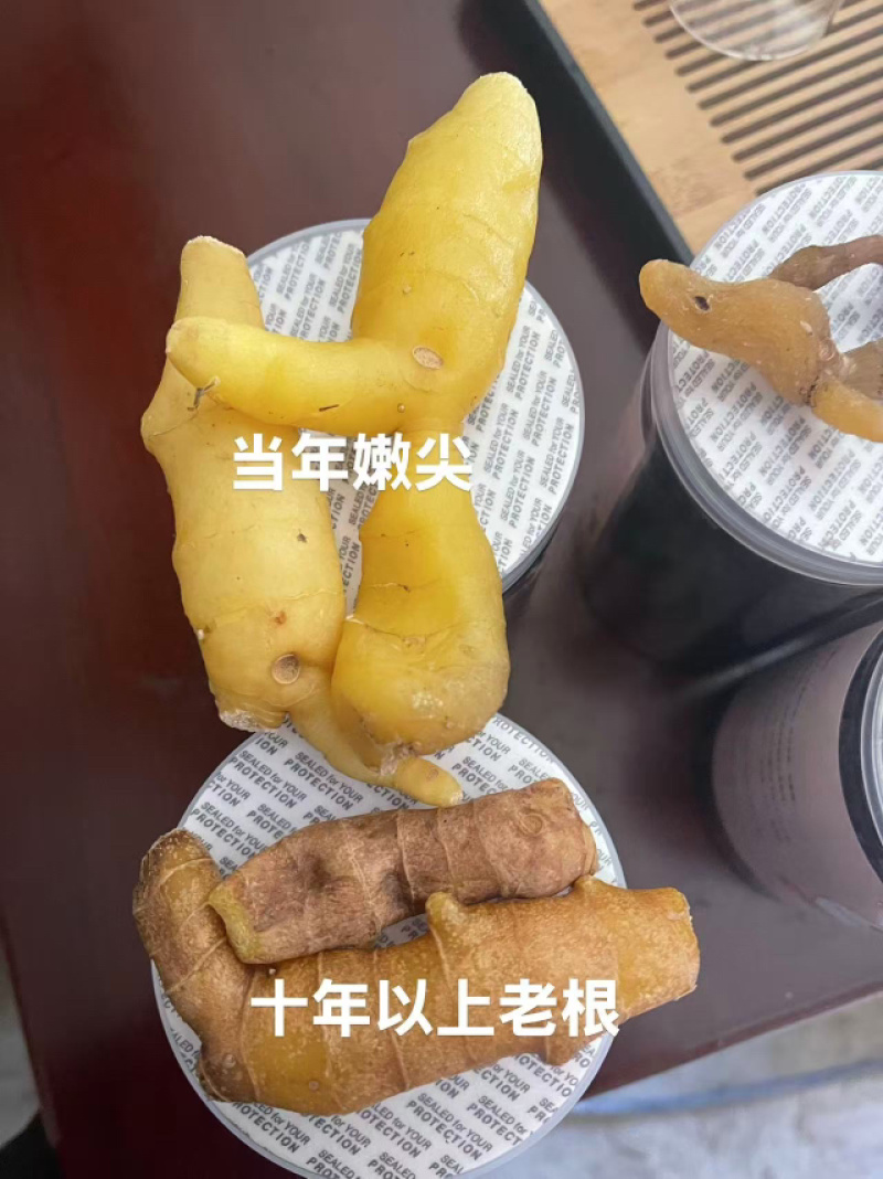 野生黄精鲜货，干货，九制成品量大从优对接全国
