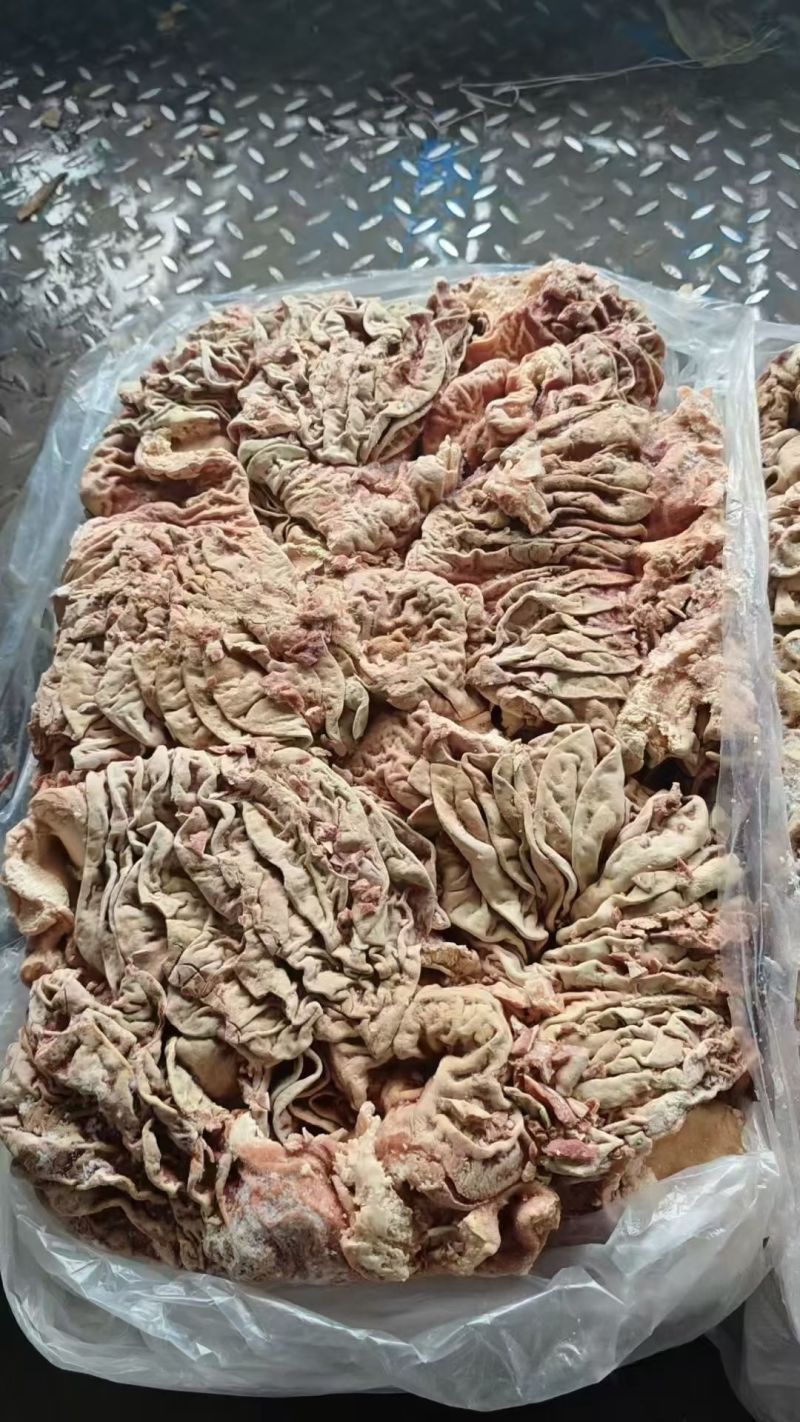 牛散带