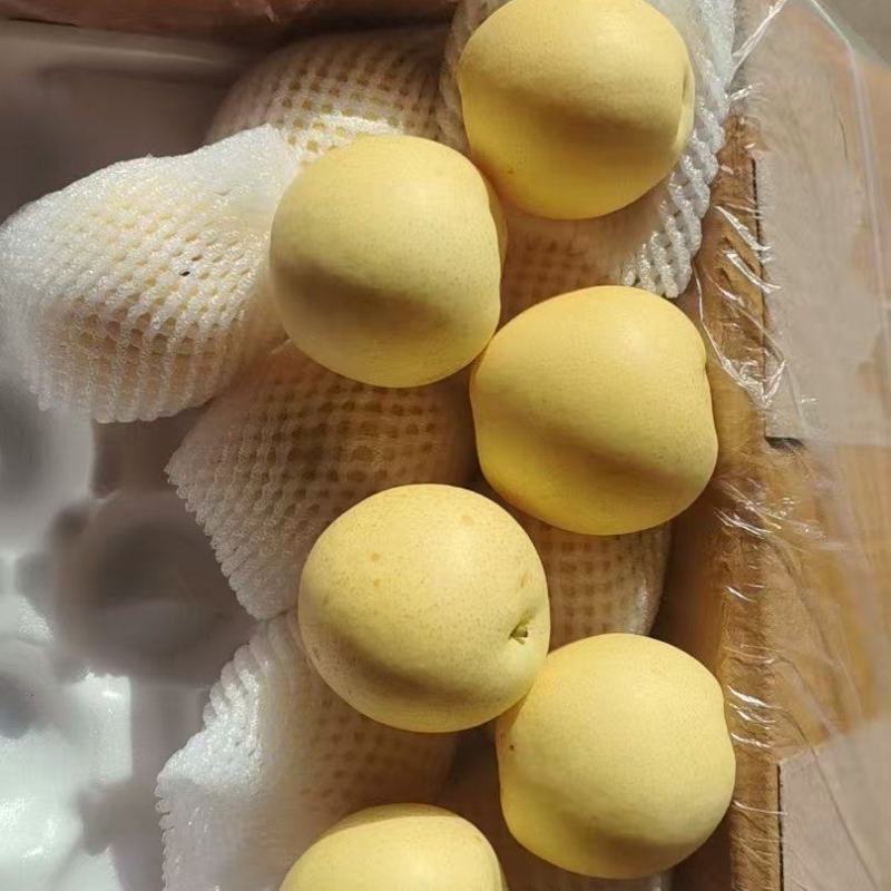 皇冠梨热卖中